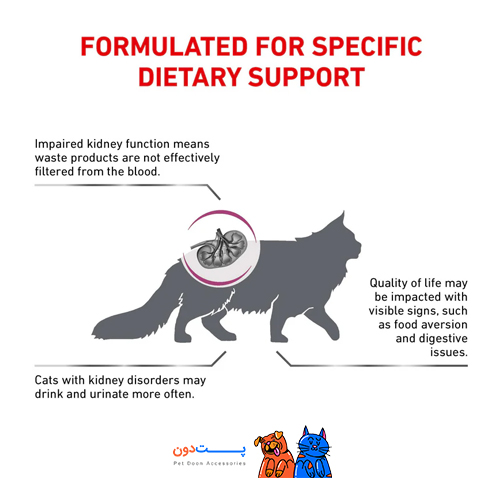 غذای خشک گربه رویال کنین مدل Renal وزن 2 کیلوگرم
