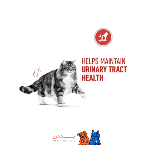 غذای خشک گربه رویال کنین مدل urinary care وزن 2 کیلوگرم